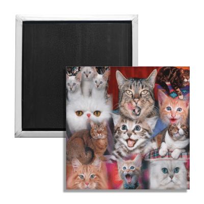 Happy Cats Fridge Magnet - The Original Underground