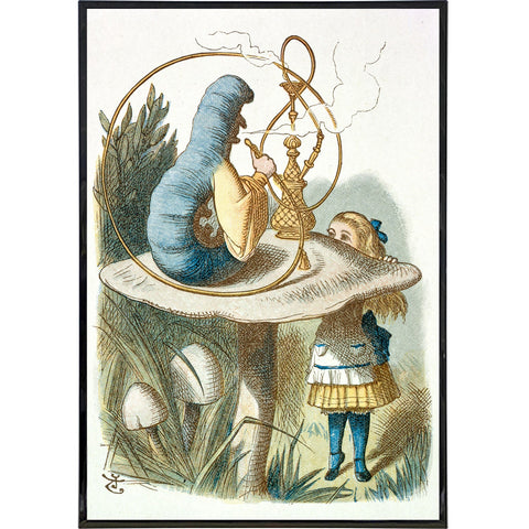 Alice with the Caterpillar Print - Shady Front