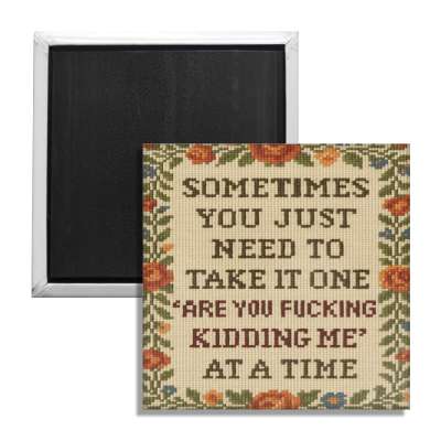 One "Are You F--king Kidding Me" at a Time Fridge Magnet - The Original Underground / theoriginalunderground.com