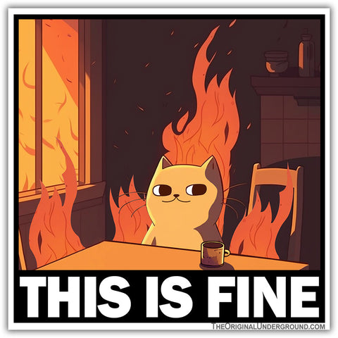 This Is Fine Cat Sticker